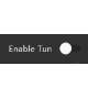 Enable Tun